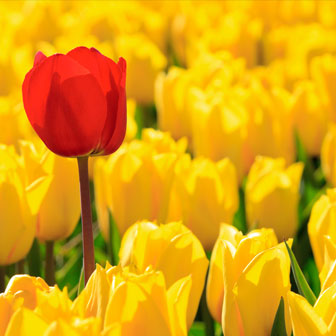 8 Qualities of Remarkable Employees